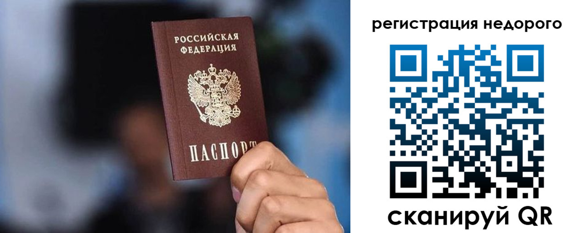 временная регистрация гарантия в Елизово